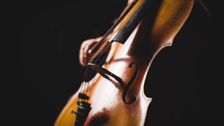 Violonchelo