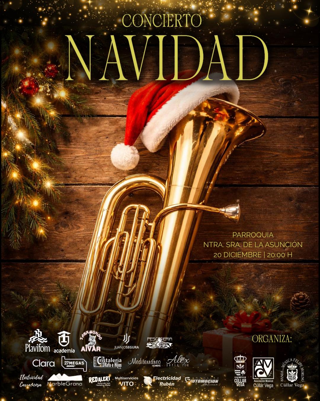concierto-navidad-asociacion-musical-cullar-vega.jpeg