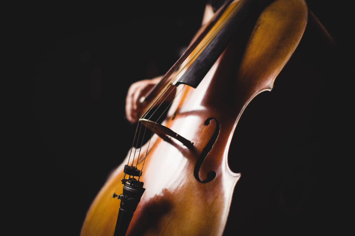 violonchelo.jpg